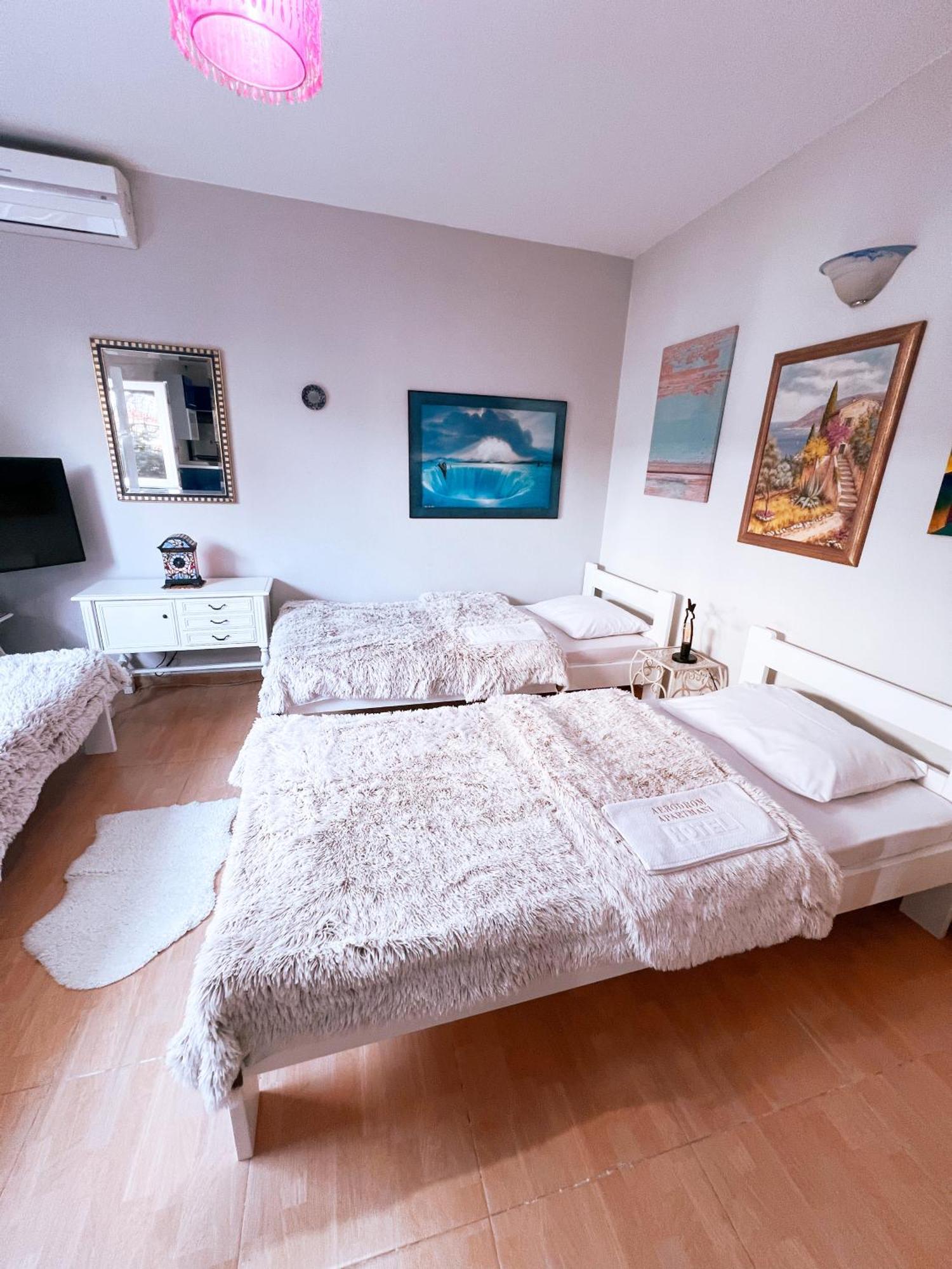 Apartments Aerodrom Podgorica Room photo
